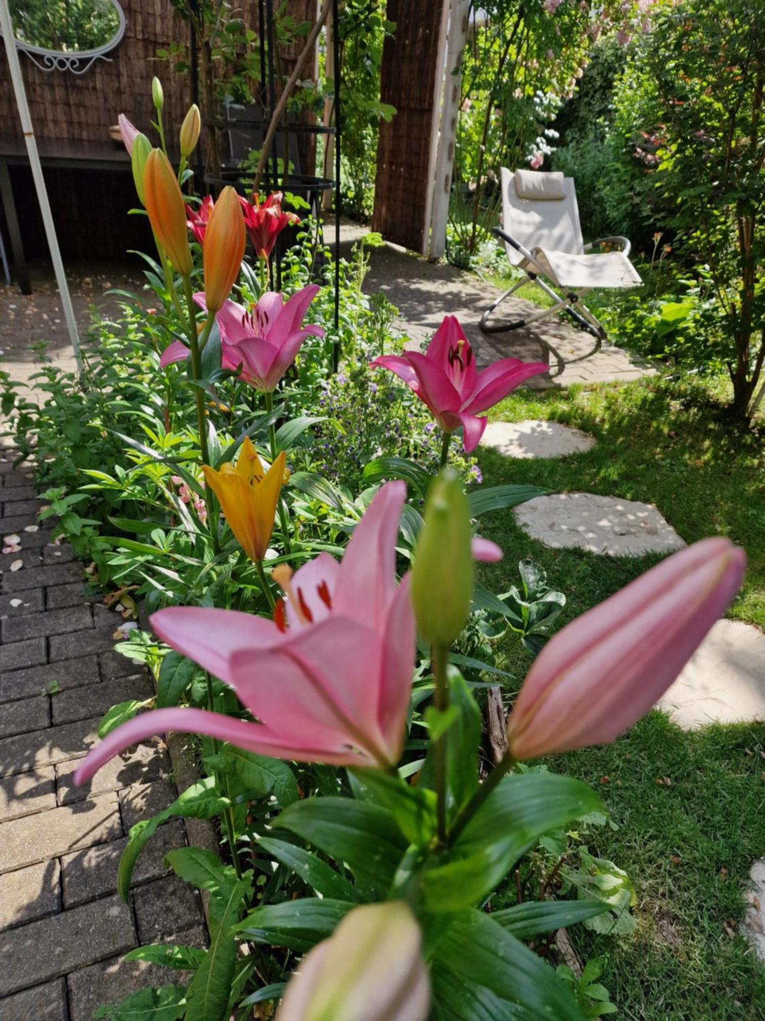 Ferienwohnung Domschatz Naumburg  Bagian luar foto